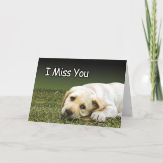 Cartões prisionais - Srta. U