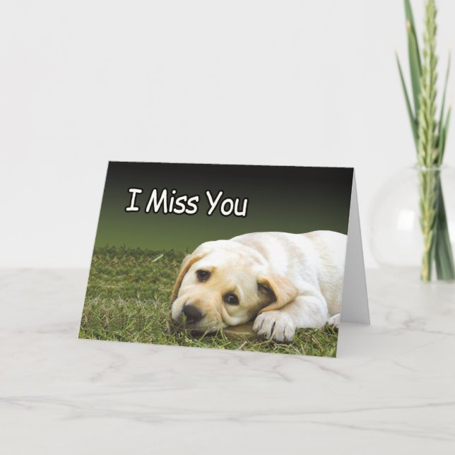 Cartões prisionais - Srta. U (Frente)