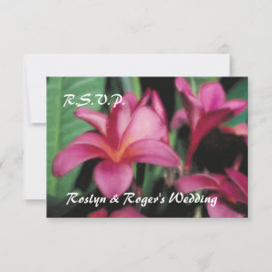 Cartões RSVP da Plumeria Tropical do Havaí