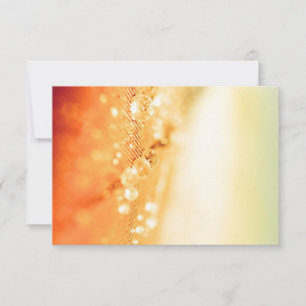 Cartões RSVP de Convites e Papel de Carta