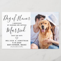 Cartões salve a data de Cachorro Fotográfico de Ca