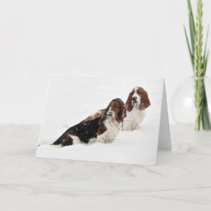 Cartões saudáveis da série "Basset Hounds in Wild"