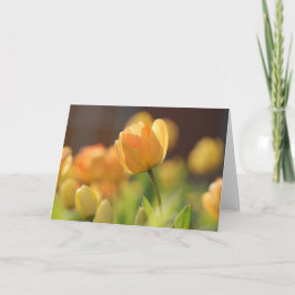 Cartões Saudáveis - Floral Primavera Amarelo