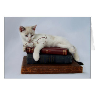 Cartões selvagens do gatinho de setembro