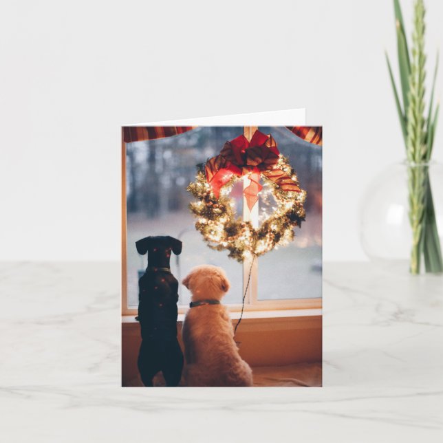 Cartões Swap de Natal - Animais de estimação (Frente)