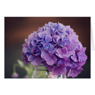 Cartões Vazios de Hydrangea púrpura