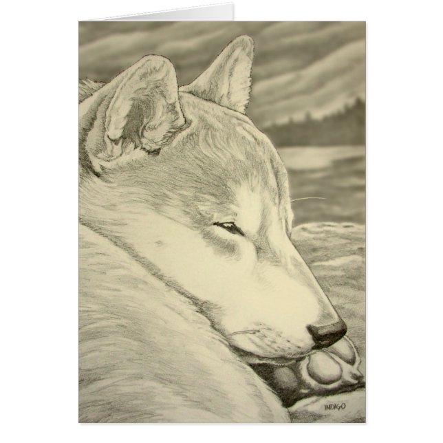 Cartões vazios de Shiba Inu dos cartões da arte do (Frente)