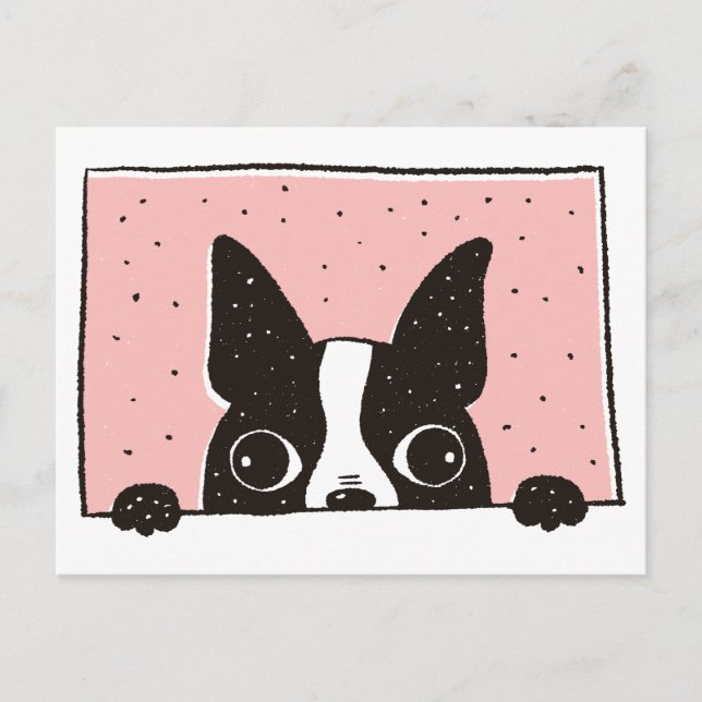 Cartoon Boston Terrier no cartão postal da janela (Frente)