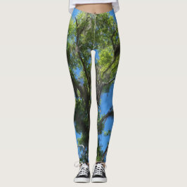 Carvalho verde & céu azul em leggings
