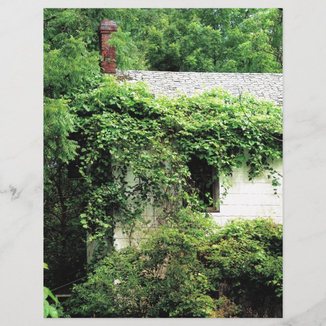 Casa Branca Abandonada na Floresta (Frente)