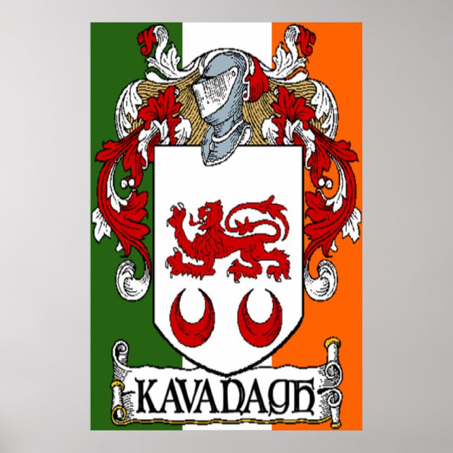 Casaco de Armas, Impressão da bandeira irlandesa (Frente)