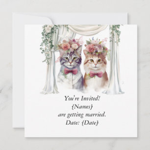 Casal de Gato para Casamento Salvar a Data Convite