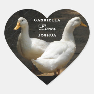 Casal do pato: Etiquetas do amor