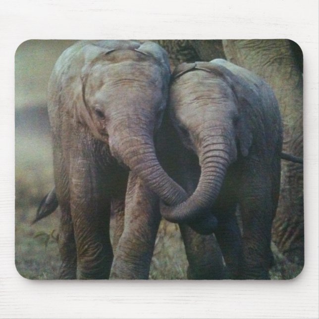 CASAL ELEFANTE AMOR MOUSEPAD (Frente)