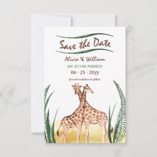 Casal Giraffe Salve o Anúncio de Data