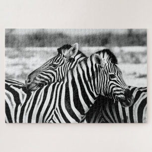 Casal Zebra doce, preto e branco, Quebra-cabeça de
