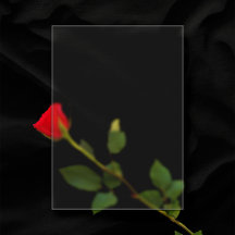 Casamento com Vazio Plástico 5"x7" fosco