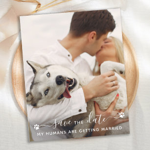 Casamento de Cão Fotográfico de Pet Personalizado 
