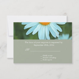 Casamento de flor de margarida branca pura RSVP