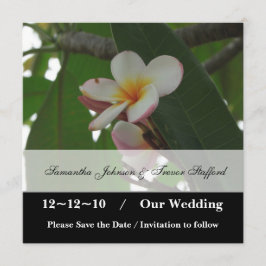 Casamento de Frangipani Salve os anúncios de data
