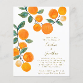Casamento de Fruta de Citros Laranja de Cor Laranj