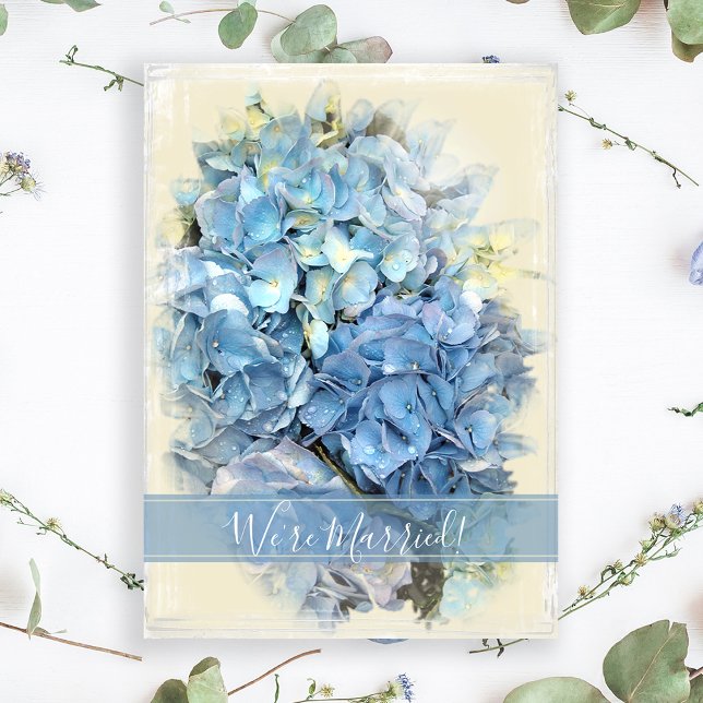 Casamento de Hydrangea Azul / Anúncio de Elopement (Criador carregado)