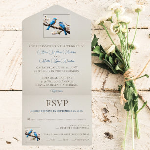 Casamento de primavera Bluebird