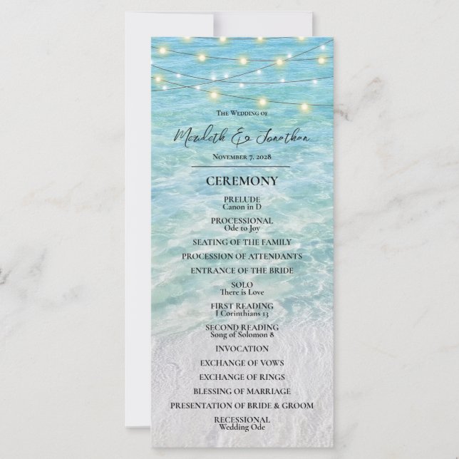 Casamento Luz de Cordas de Costeira Tropical Beach (Frente)