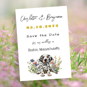 Casamento Salve a data do anúncio da Dalmaciana Pu