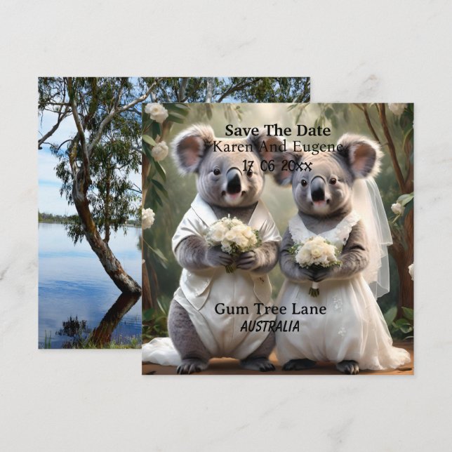 Casamento White Australiano Koala Bear (Frente/Verso)