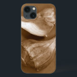 Cascas Sensuais<br><div class="desc">Renee W. Stramel captura essas conchas em um lindo tom de sepia. Esta peça de arte safra é uma adição perfeita a qualquer amante de anêmonas do mar. Pegue seu impressão de arte hoje em dia em seu produto.</div>