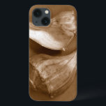 Cascas Sensuais<br><div class="desc">Renee W. Stramel captura essas conchas em um lindo tom de sepia. Esta peça de arte safra é uma adição perfeita a qualquer amante de anêmonas do mar. Pegue seu impressão de arte hoje em dia em seu produto.</div>