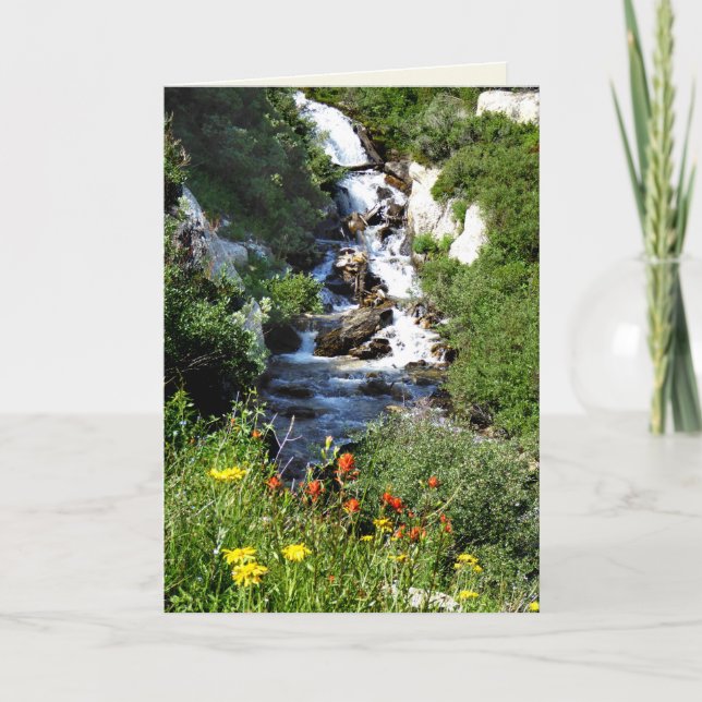 Cascata com flores selvagens, Cartão de Saudação d (Frente)