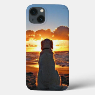Case-Mate mal existe no caso do Apple iPhone 13