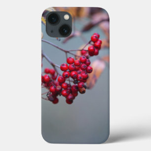Case-Mate mal existe no caso do Apple iPhone 13