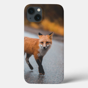 Case-Mate mal existe no caso do Apple iPhone 13