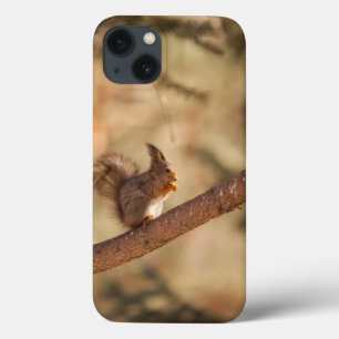 Case-Mate mal existe no caso do Apple iPhone 13