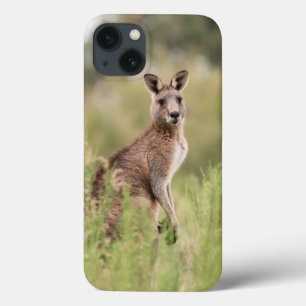 Case-Mate mal existe no caso do Apple iPhone 13