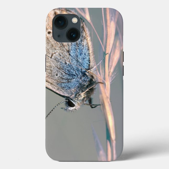 Case-Mate Tough Apple iPhone 13 Case (Verso)