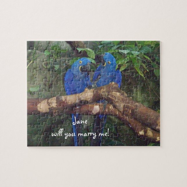 Case-me quebra-cabeça da proposta (Horizontal)