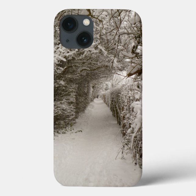Caso de ar iPad do Caminho de Neve (Verso)
