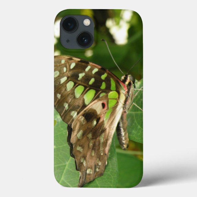 Caso de iPad de Borboleta Verde Iridescente Tropic (Verso)