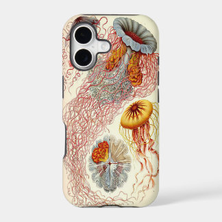 Caso de Iphone 5 das medusa