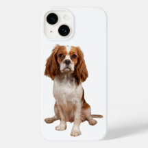 Caso do Apple iPhone 14 com o Rei Charles Cavalier