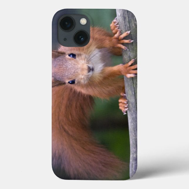 Caso do Baby Red iPad (Verso)