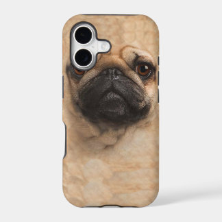 caso do cobrir do iphone 5 da cara dos pugs do pug