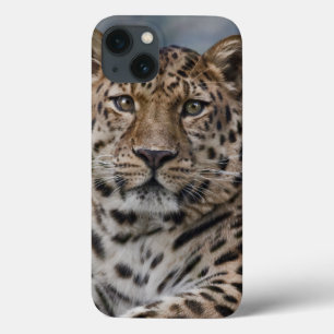 Caso do iPad dos pensamentos do leopardo