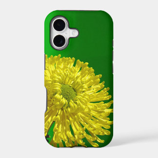 caso do iphone 5s