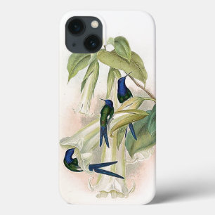 Caso do iPhone 6 dos pássaros do colibri