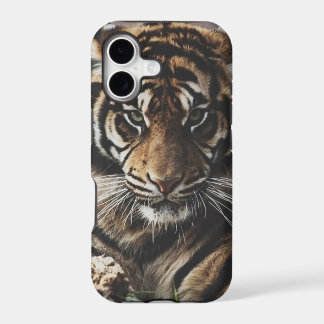 Caso do Tigre